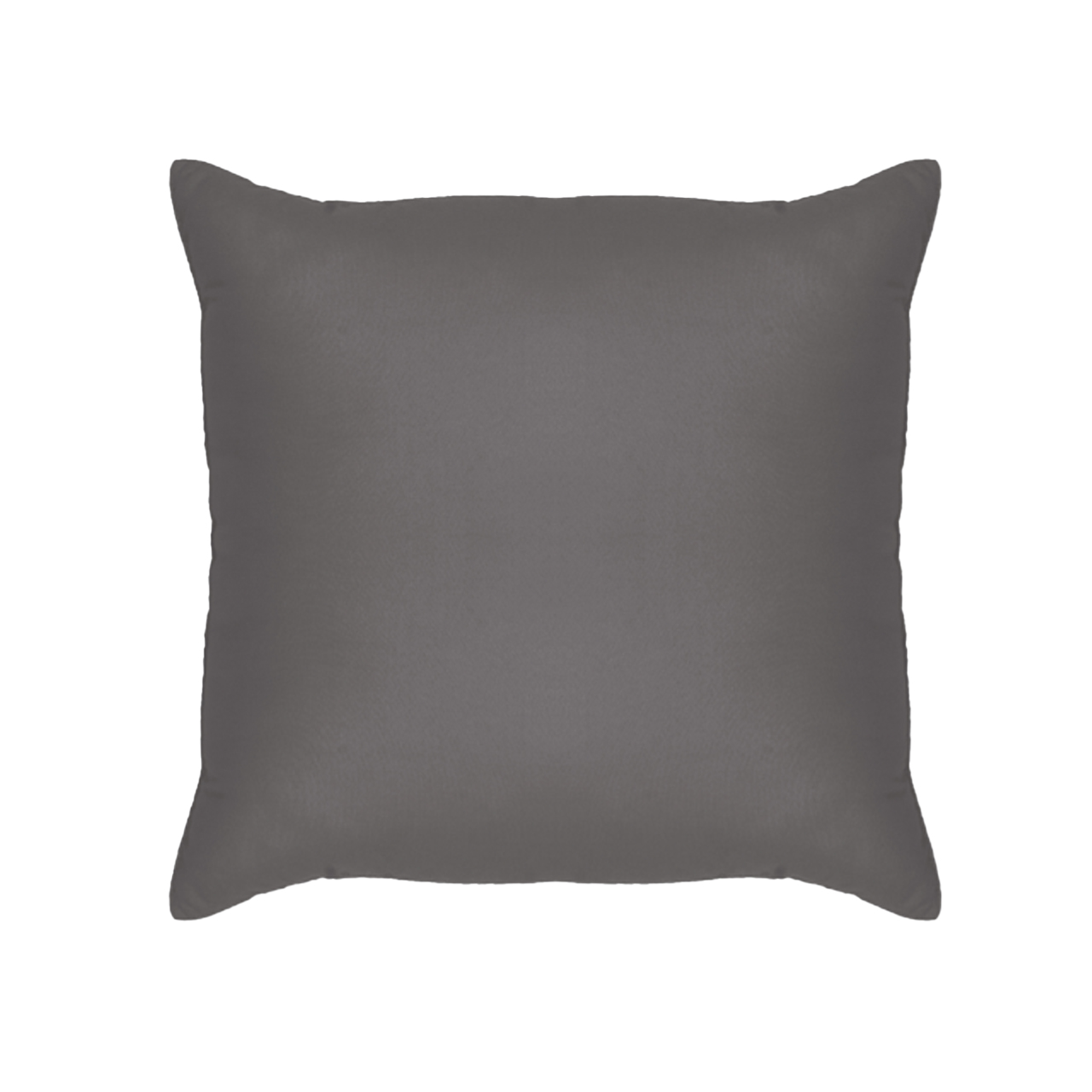 Color Cushion 18'' X 18'' (Gray)